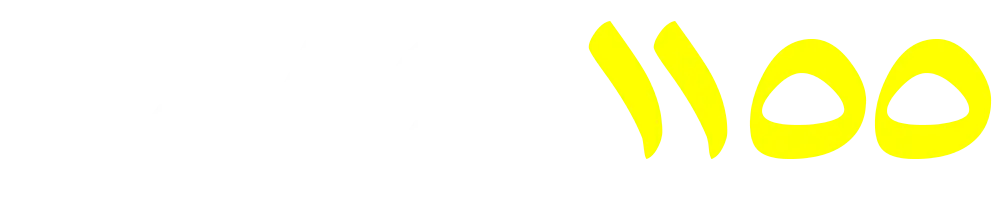 01070401155